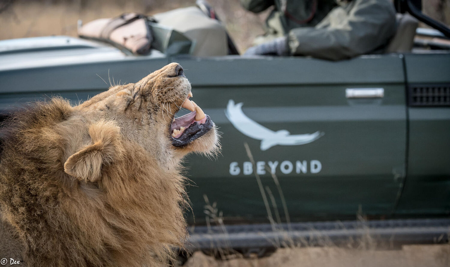 PlaceholderImage1302